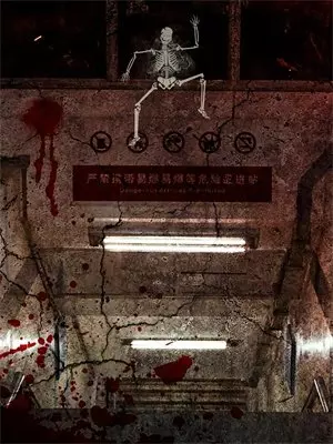 疯子出笼打死我的猫，我让你全家陪葬