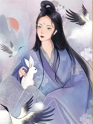 不为谁开的花期